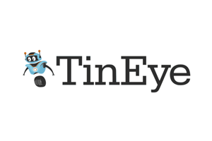 master inteligencia artificial curso tineye